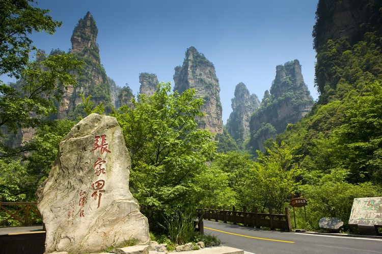 Cong Vien Rung Quoc Gia Truong Gia Gioi 4