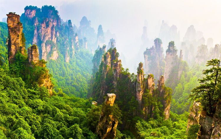 Cong Vien Rung Quoc Gia Truong Gia Gioi